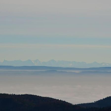 Doller Villa 4 Stars Hot Tub Mountain Ski Ballon D'Alsace Sewen Екстериор снимка