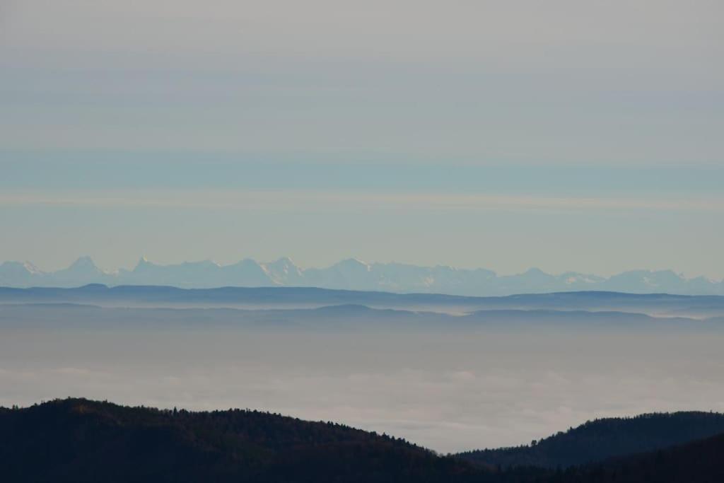 Doller Villa 4 Stars Hot Tub Mountain Ski Ballon D'Alsace Sewen Екстериор снимка