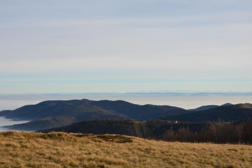 Doller Villa 4 Stars Hot Tub Mountain Ski Ballon D'Alsace Sewen Екстериор снимка