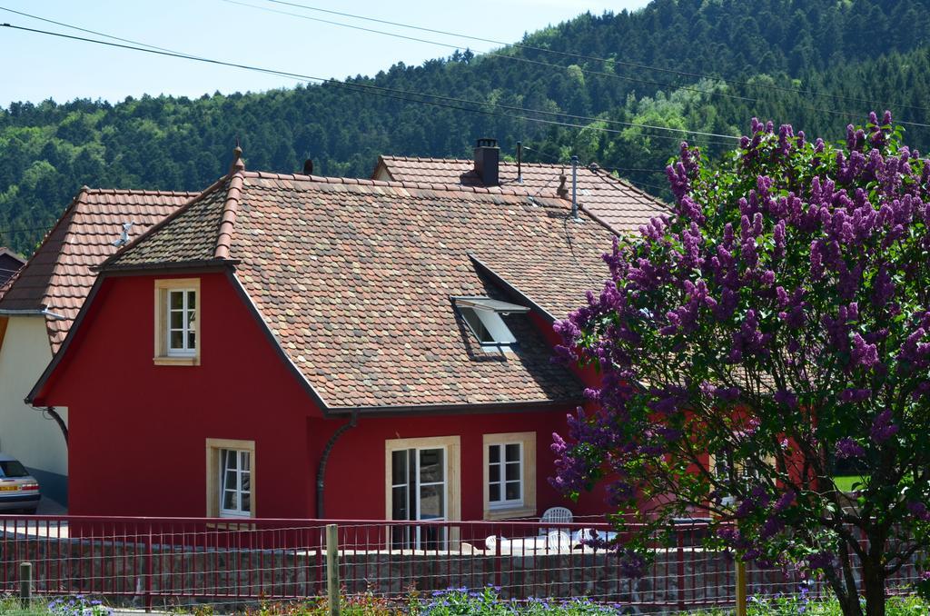 Doller Villa 4 Stars Hot Tub Mountain Ski Ballon D'Alsace Sewen Екстериор снимка